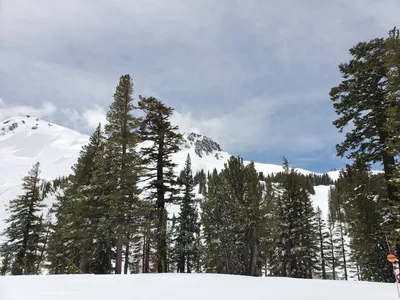 20190517_121359 (Large).jpg